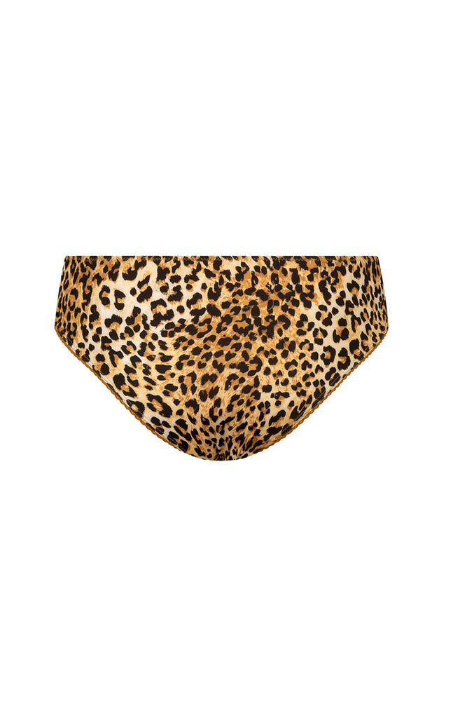 Samantha Brief