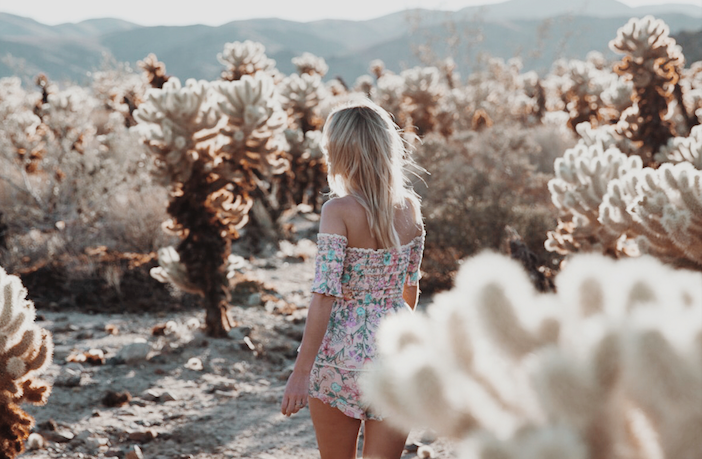 JOSHUA TREE